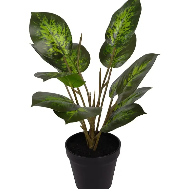 Grønnplante