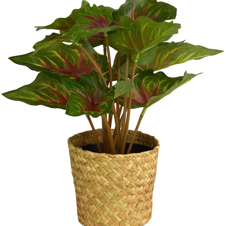 Grønnplante