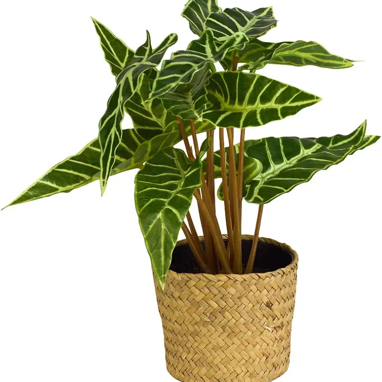 Grønnplante