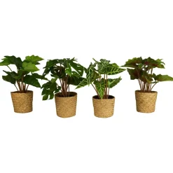 Grønnplante