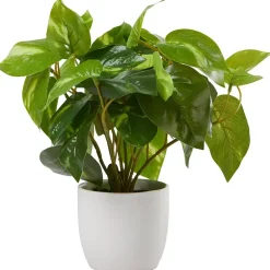 Grønnplante