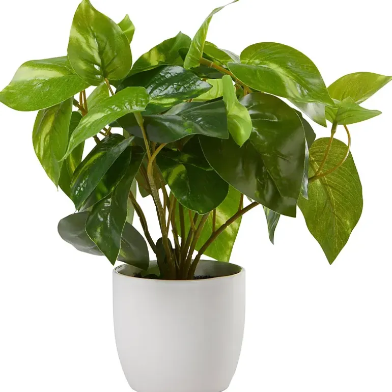 Grønnplante