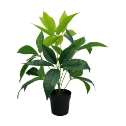 Grønnplante