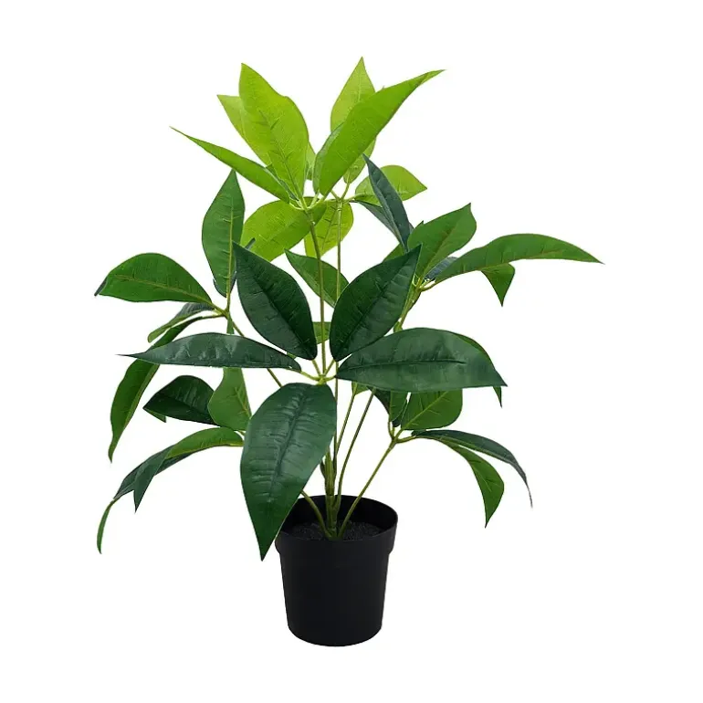 Grønnplante
