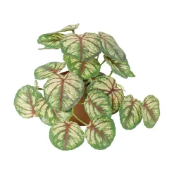 Grønnplante