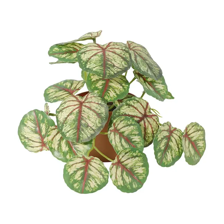 Grønnplante