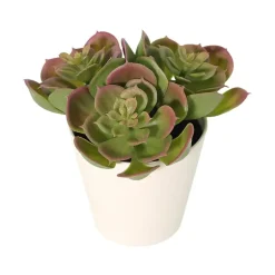 Grønnplante