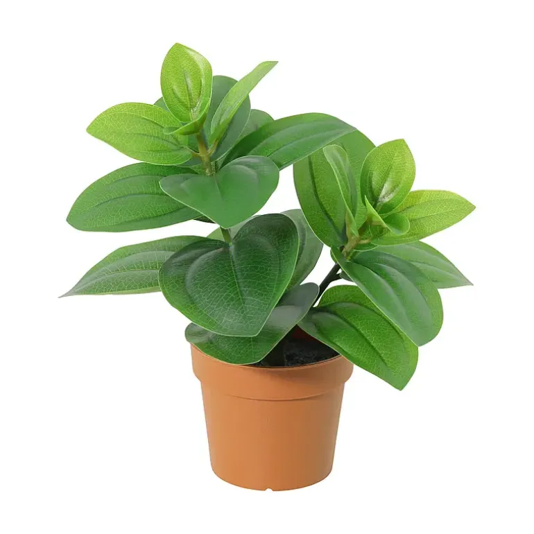 Grønnplante