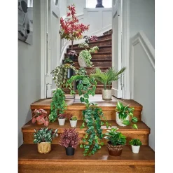 Grønnplante