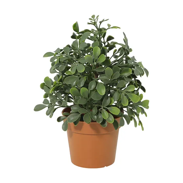 Grønnplante