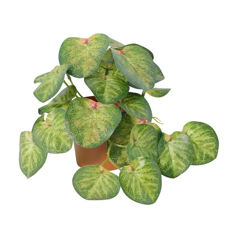 Grønnplante