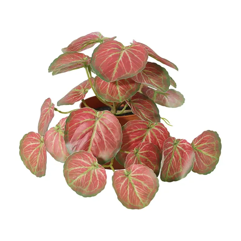 Grønnplante
