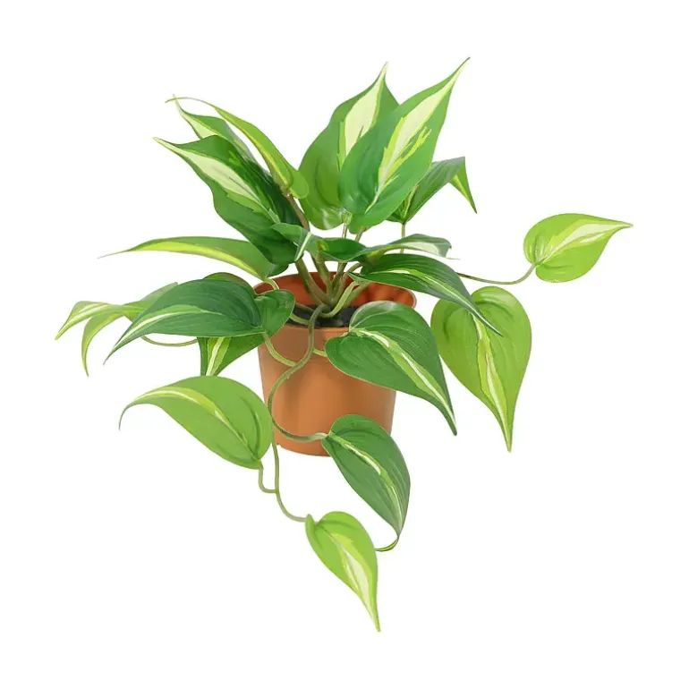 Grønnplante