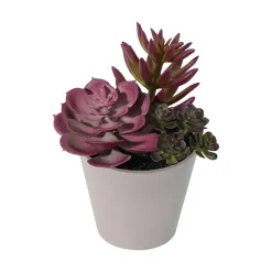 Grønnplante