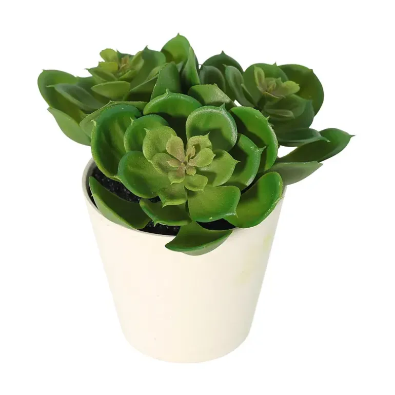 Grønnplante