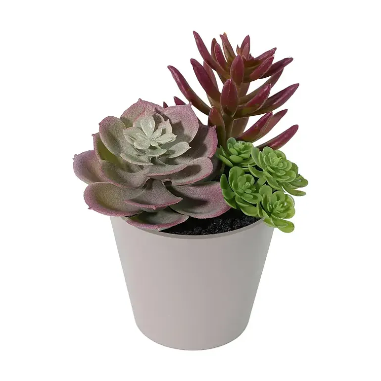 Grønnplante