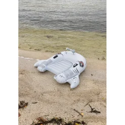 Hai kickboard
