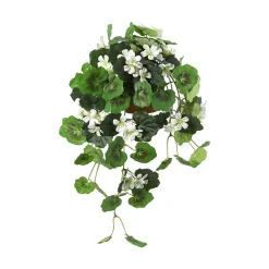 Hengepelargonia