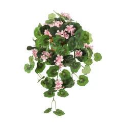 Hengepelargonia