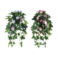 Hengepetunia