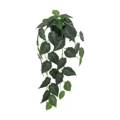 Hengeplante