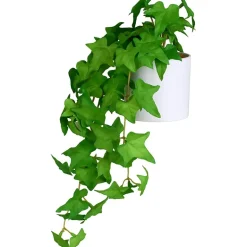 Hengeplante