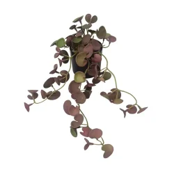 Hengeplante