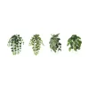 Hengeplante