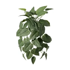 Hengeplante