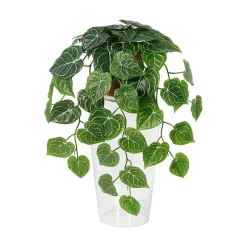 Hengeplante