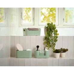 Hengeplante