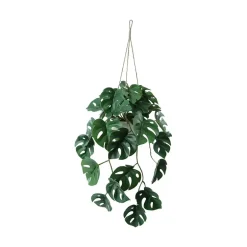 Hengeplante