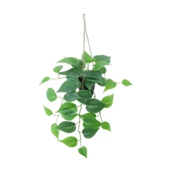 Hengeplante