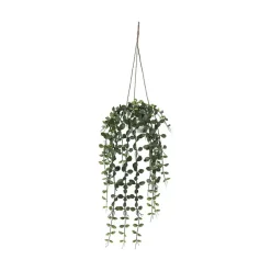 Hengeplante