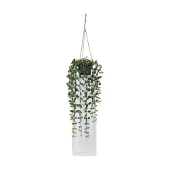 Hengeplante