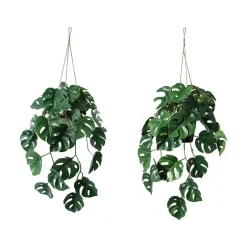 Hengeplante
