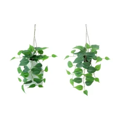Hengeplante