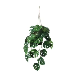 Hengeplante
