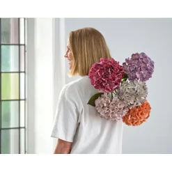 Hortensia