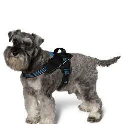 Hundesele