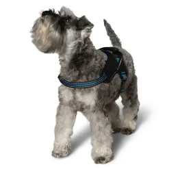 Hundesele