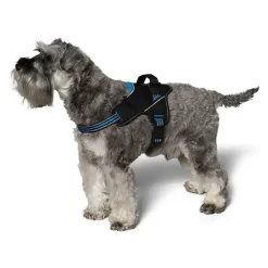 Hundesele