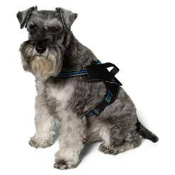 Hundesele