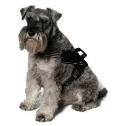 Hundesele