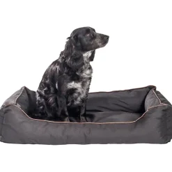 Hundeseng