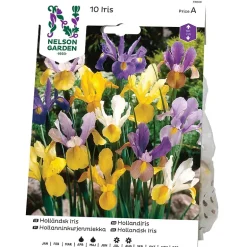 Iris