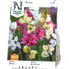 Ixia