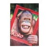 Kort 3D