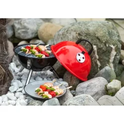 Kullgrill Globe