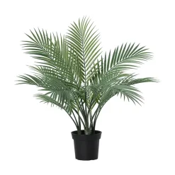 Kwai palme